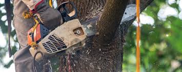 Best Soil Testing and Treatment  in Marion, NC